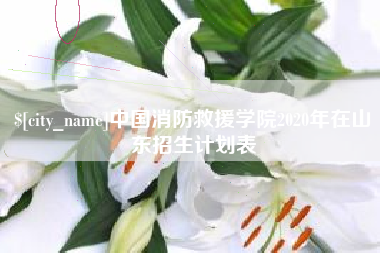 金华中国消防救援学院2020年在山东招生计划表