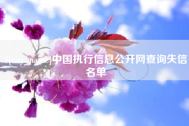 金华中国执行信息公开网查询失信名单