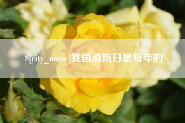 金华我国消防日是每年的