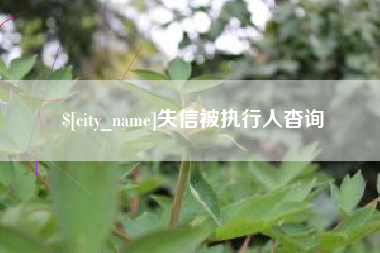 金华失信被执行人杳询