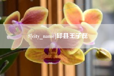 金华邱县王子磊