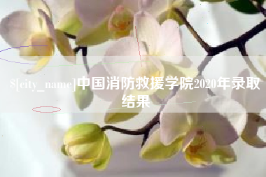 金华中国消防救援学院2020年录取结果