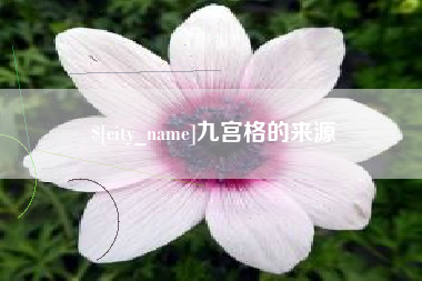 金华九宫格的来源