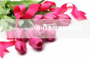 金华11月9日全国消防日图片