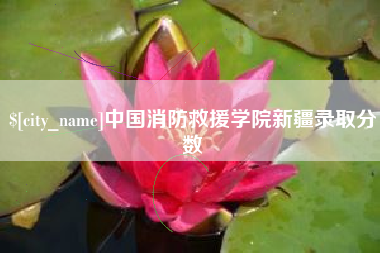 金华中国消防救援学院新疆录取分数
