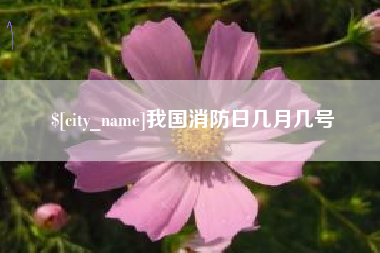 金华我国消防日几月几号
