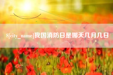 金华我国消防日是哪天几月几日