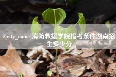 金华消防救援学院报考条件湖南招生多少分