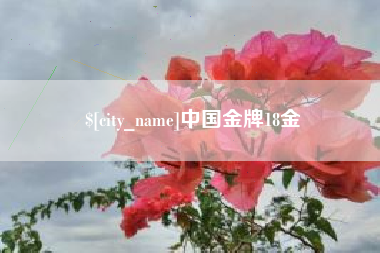 金华中国金牌18金
