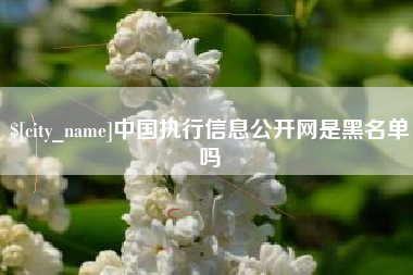 金华中国执行信息公开网是黑名单吗
