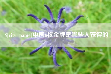 金华中国6枚金牌是哪些人获得的
