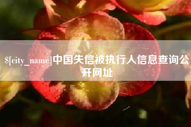 金华中国失信被执行人信息查询公开网址
