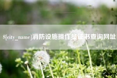 金华消防设施操作员证书查询网址