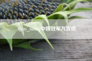 金华中国冠军九宫格