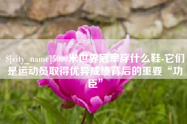 金华5000米世界冠军穿什么鞋-它们是运动员取得优异成绩背后的重要“功臣”