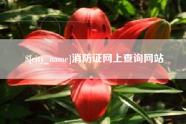 金华消防证网上查询网站