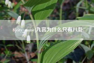 金华九宫为什么只有八卦