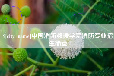 金华中国消防救援学院消防专业招生简章