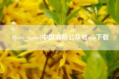 金华中国消防公众号app下载