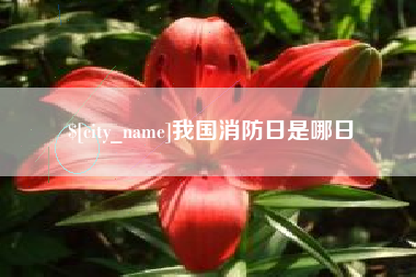 金华我国消防日是哪日