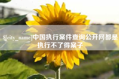 金华中国执行案件查询公开网都是执行不了得案子