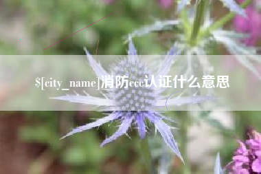 金华消防ccc认证什么意思