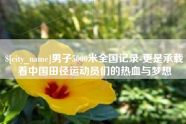 金华男子5000米全国记录-更是承载着中国田径运动员们的热血与梦想