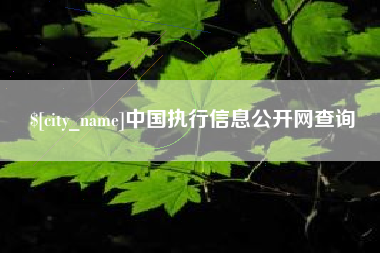 金华中国执行信息公开网查询
