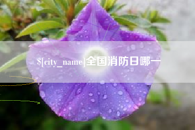 金华全国消防日哪一