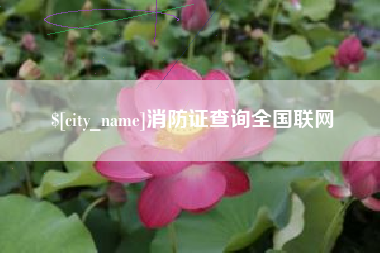 金华消防证查询全国联网