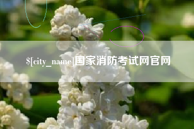金华国家消防考试网官网