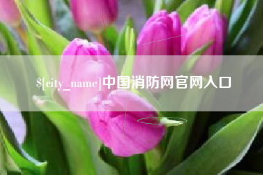 金华中国消防网官网入口