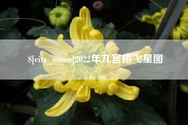 金华2022年九宫格飞星图