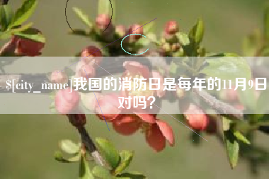 金华我国的消防日是每年的11月9日对吗？