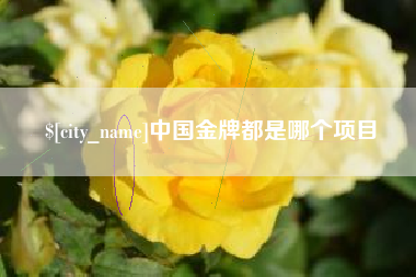 金华中国金牌都是哪个项目