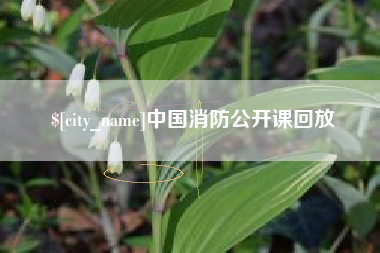 金华中国消防公开课回放