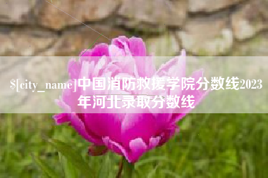 金华中国消防救援学院分数线2023年河北录取分数线