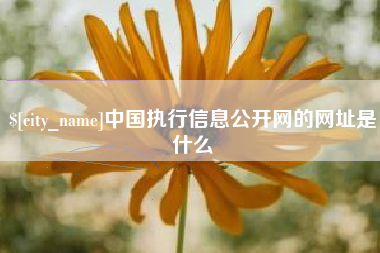金华中国执行信息公开网的网址是什么