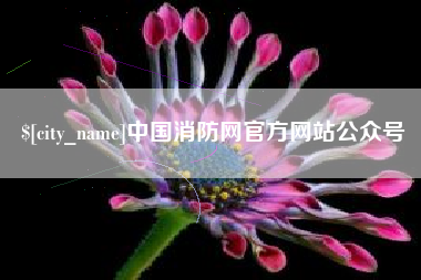 金华中国消防网官方网站公众号