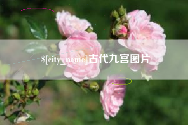 金华古代九宫图片