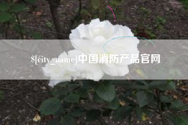 金华中国消防产品官网