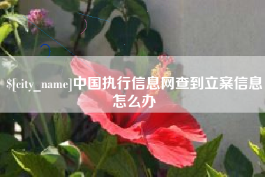 金华中国执行信息网查到立案信息怎么办