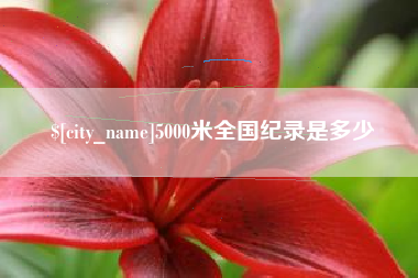 金华5000米全国纪录是多少