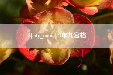 金华21年九宫格