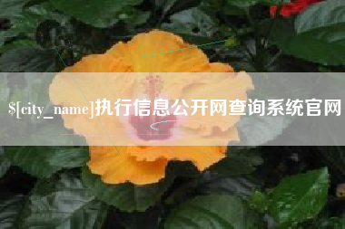 金华执行信息公开网查询系统官网
