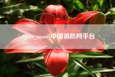 金华中国消防网平台