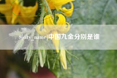 金华中国九金分别是谁