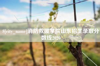 金华消防救援学院山东招生录取分数线2020