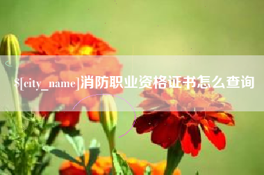 金华消防职业资格证书怎么查询
