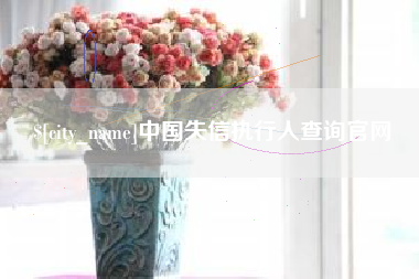 金华中国失信执行人查询官网